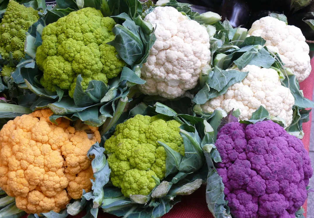 Colourful Cauliflower - Purple, Green, Orange - Are They Natural Or Gm 