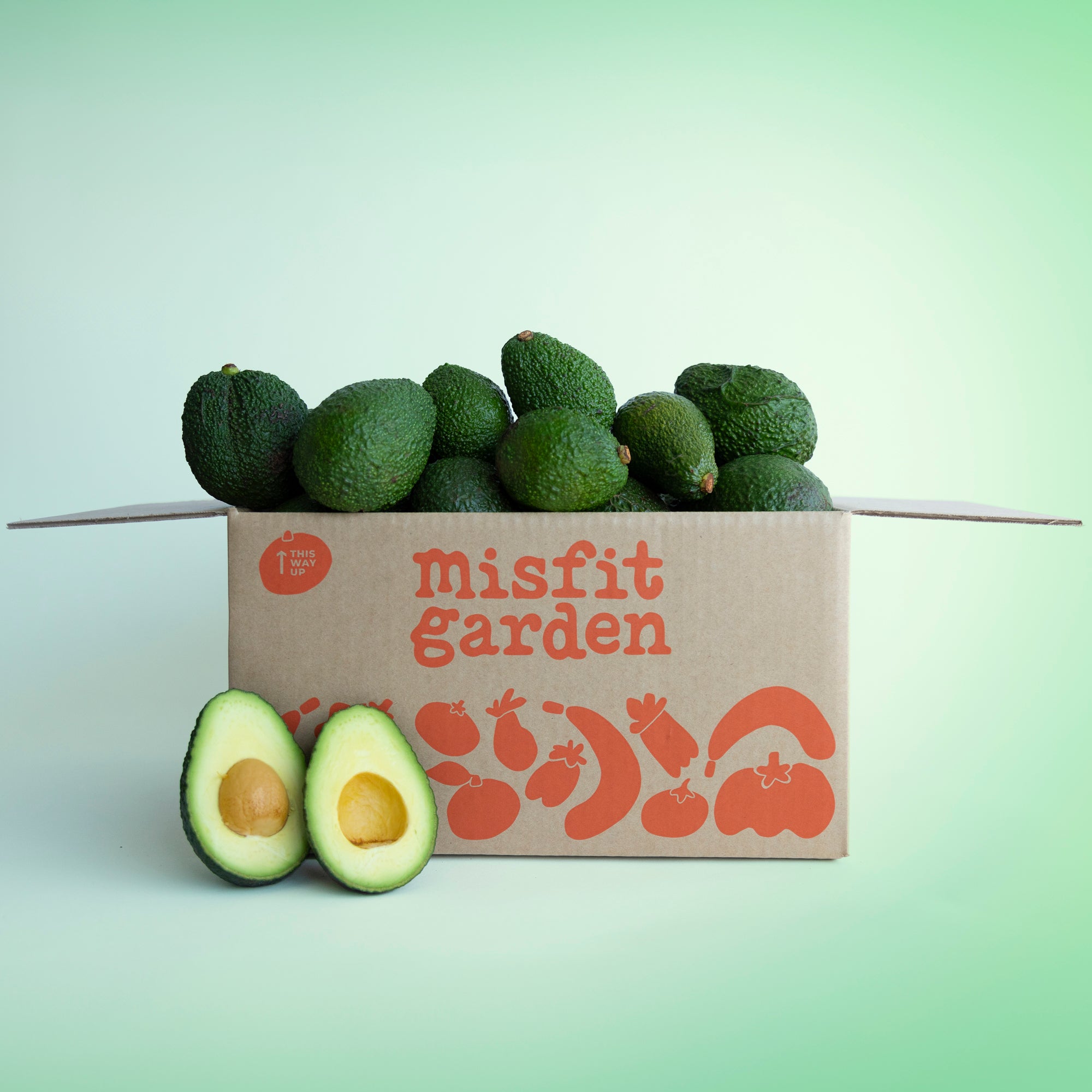 Avocado Box