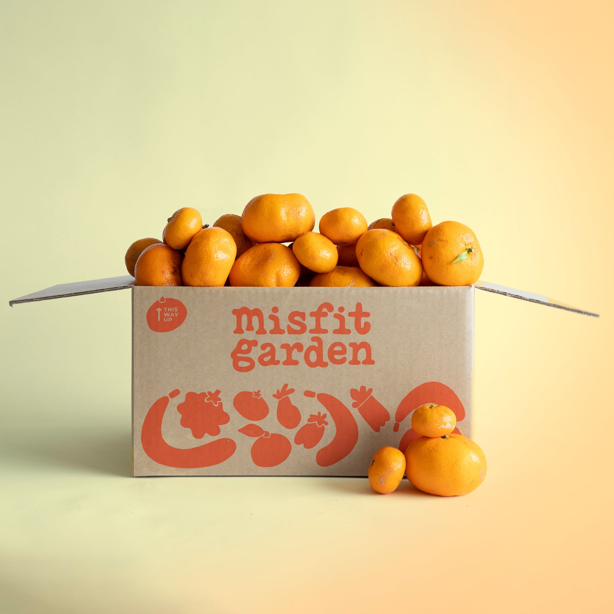 Mandarin Box (3kg)