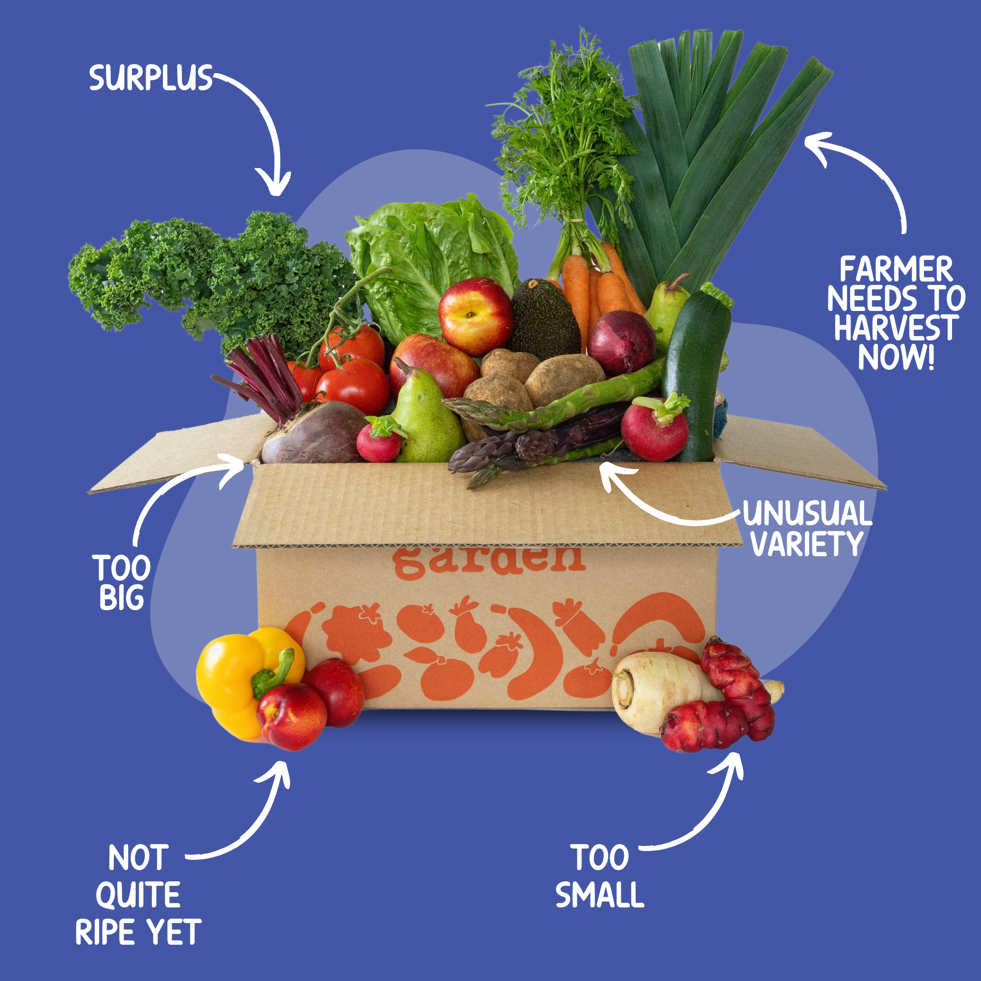 A photo of a fresh Misfit Garden subscription fruit and vegetable box filled with organic produce, including carrots, apples, leafy greens, and more. Plastic-free, sustainable, and locally sourced New Zealand-grown produce perfect for home delivery.