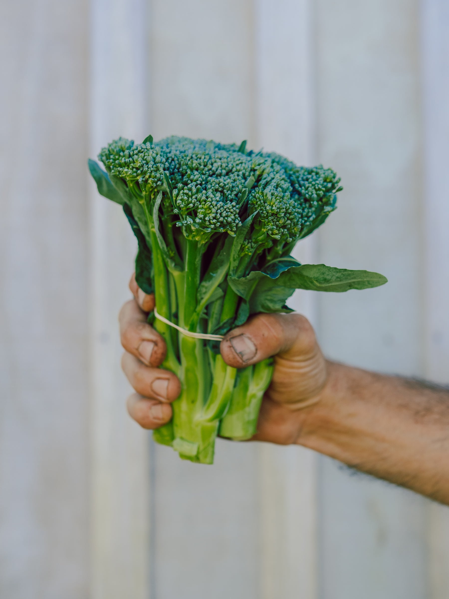 Add Broccolini Bunch (150g)